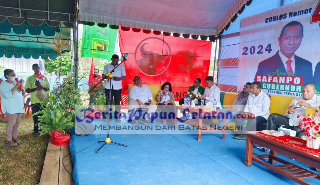 Gubernur Provinsi Papua Selatan
