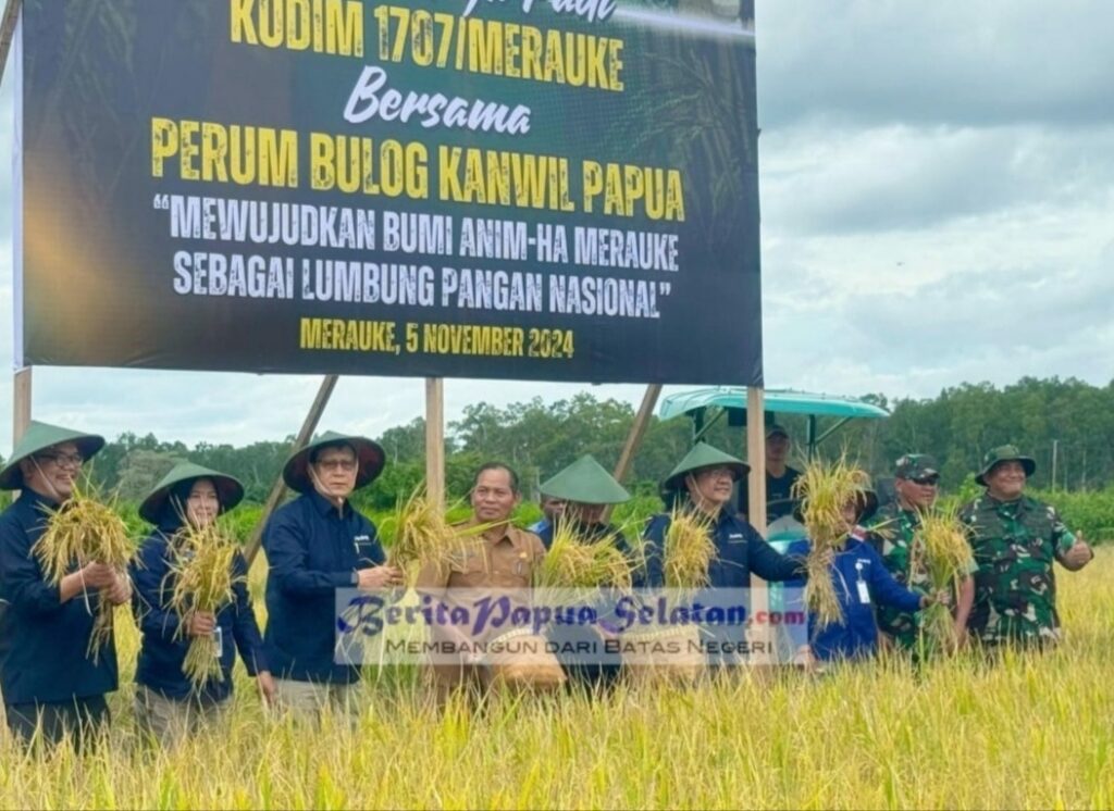 Dewan Pengawas Perum Bulog Tinjau Panen Padi di Merauke