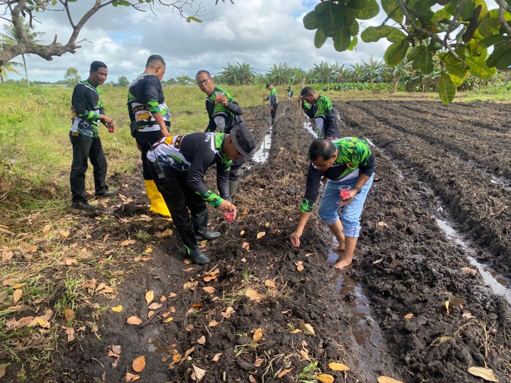 Polsek Merauke